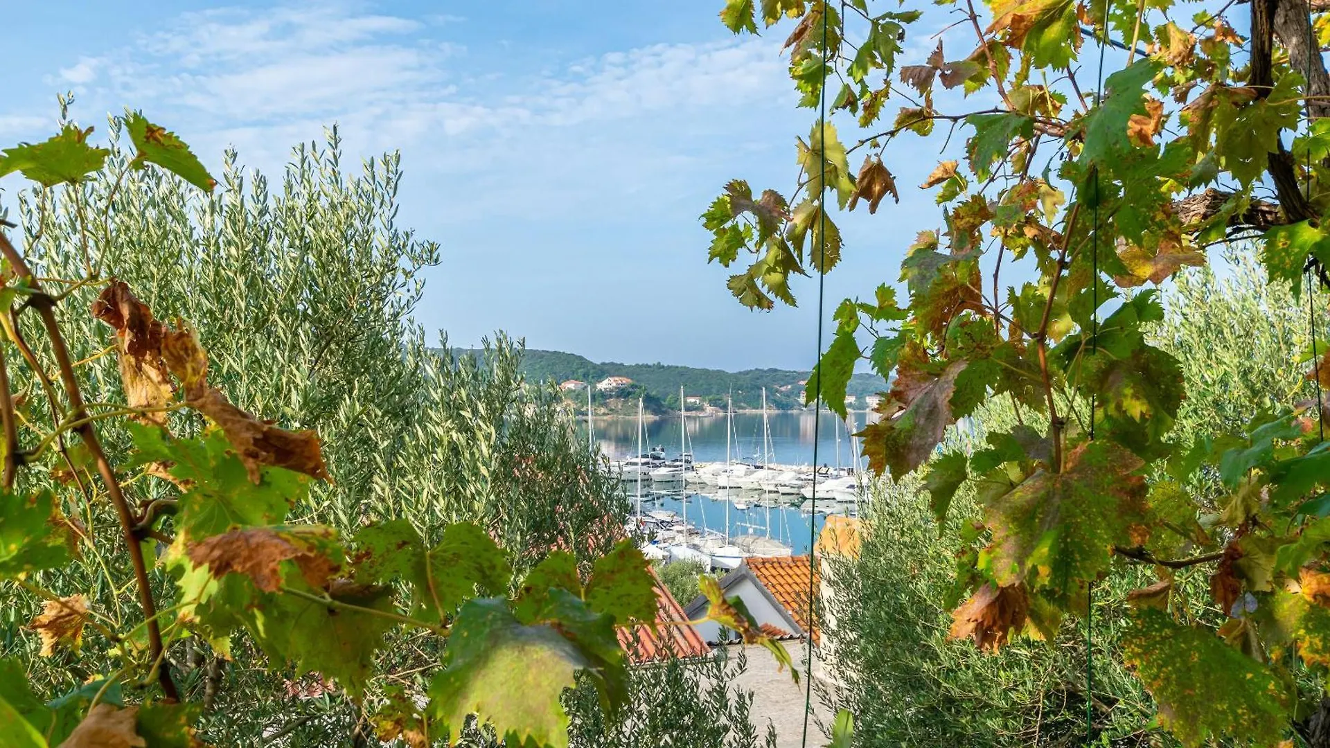 Apartments Sabina Supetarska Draga